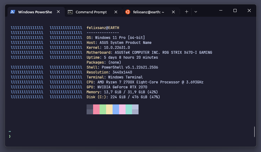 Screenshot of Windows Terminal displaying multiple tabs and running winfetch